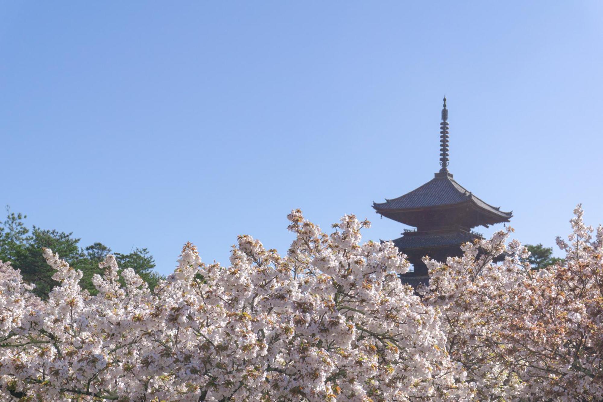 Tokyu Stay Kyoto Sanjo-Karasuma Exteriör bild