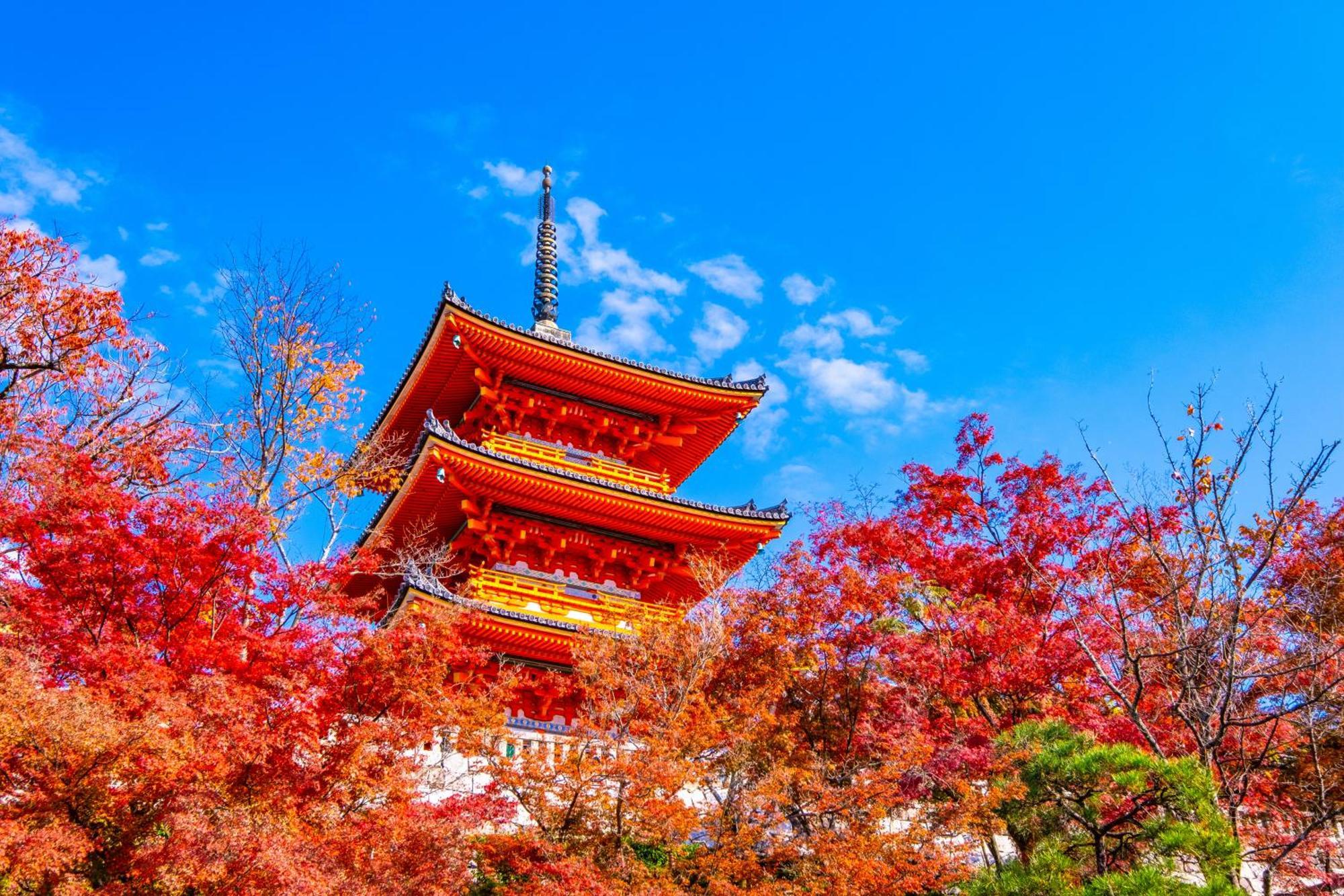 Tokyu Stay Kyoto Sanjo-Karasuma Exteriör bild