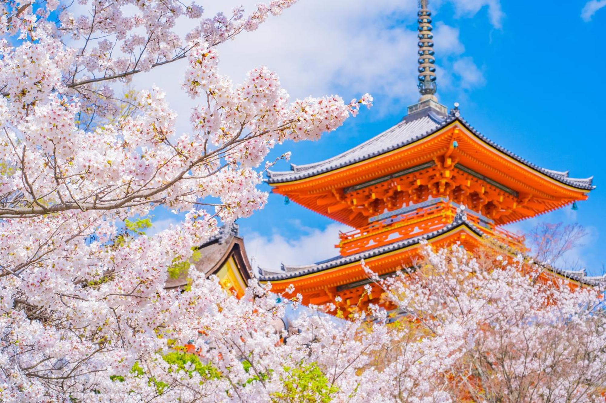 Tokyu Stay Kyoto Sanjo-Karasuma Exteriör bild