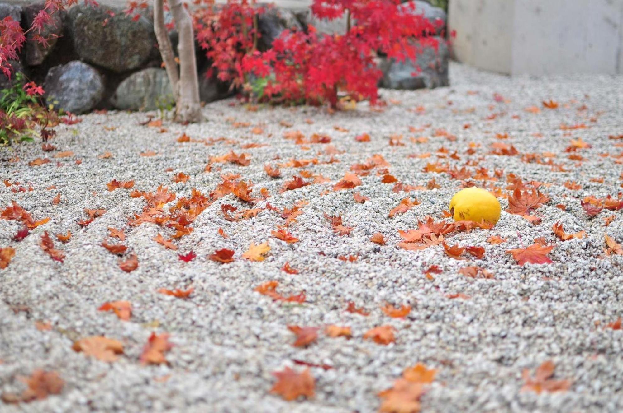 Tokyu Stay Kyoto Sanjo-Karasuma Exteriör bild