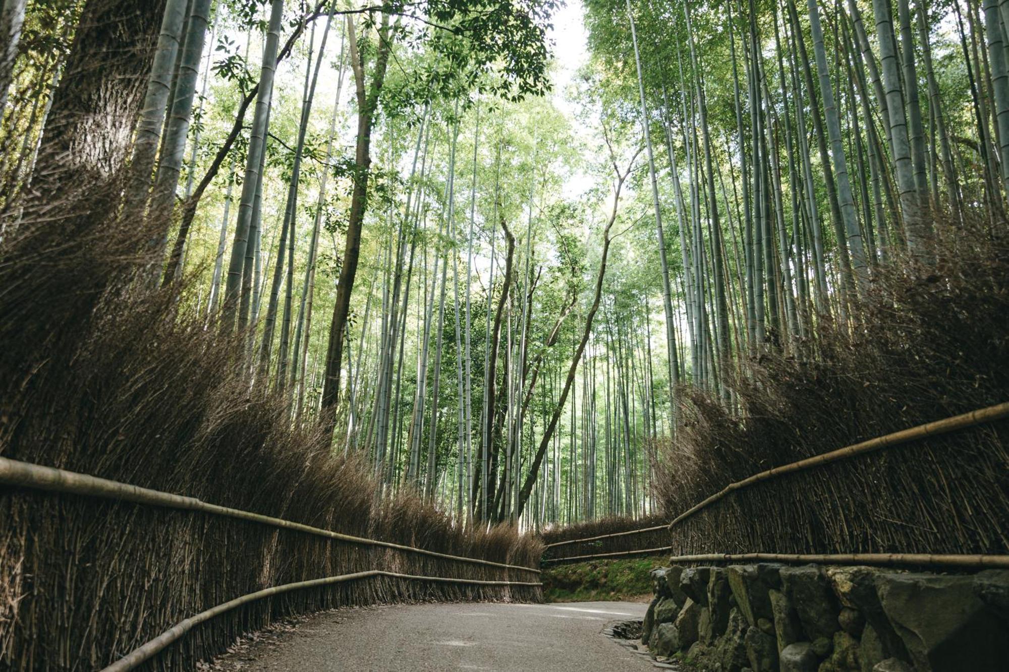 Tokyu Stay Kyoto Sanjo-Karasuma Exteriör bild
